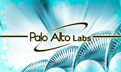 Palo Alto Labs Banner